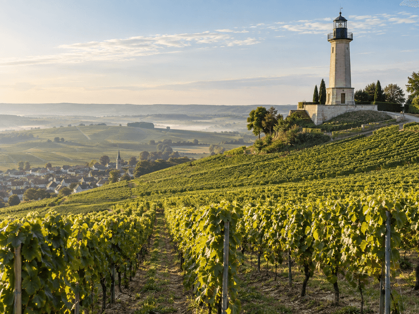 Le phare de Verzenay et les vignes